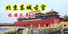 操淫女中国北京-东城古宫旅游风景区
